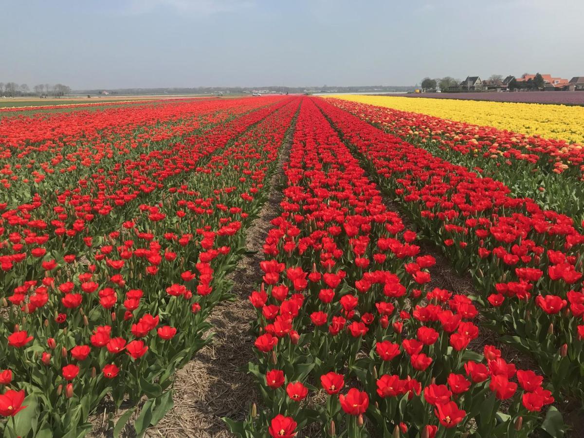 Woonboot Irene Villa Alkmaar Luaran gambar